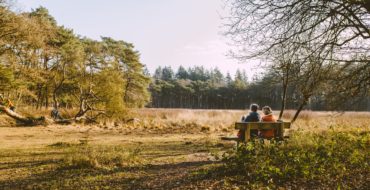 Man en vrouw op een bankje met de rug naar de camera, uitkijkend op een natuurgebied met hoge bomen.