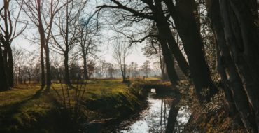 Een beekje in een natuurgebied.