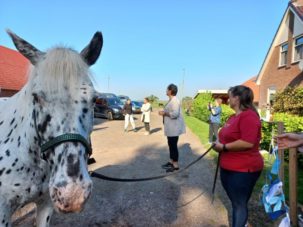 Links kijkt een paar recht in de camera, rechts staan twee mensen.